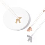 WhatsApp Image 2026-01-04 at 10.42.29 AM